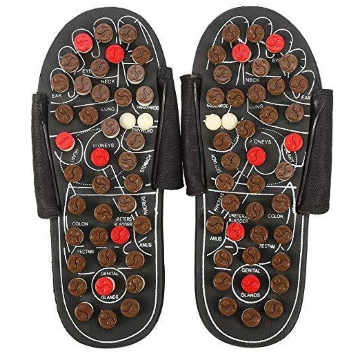 Accu Paduka Brown