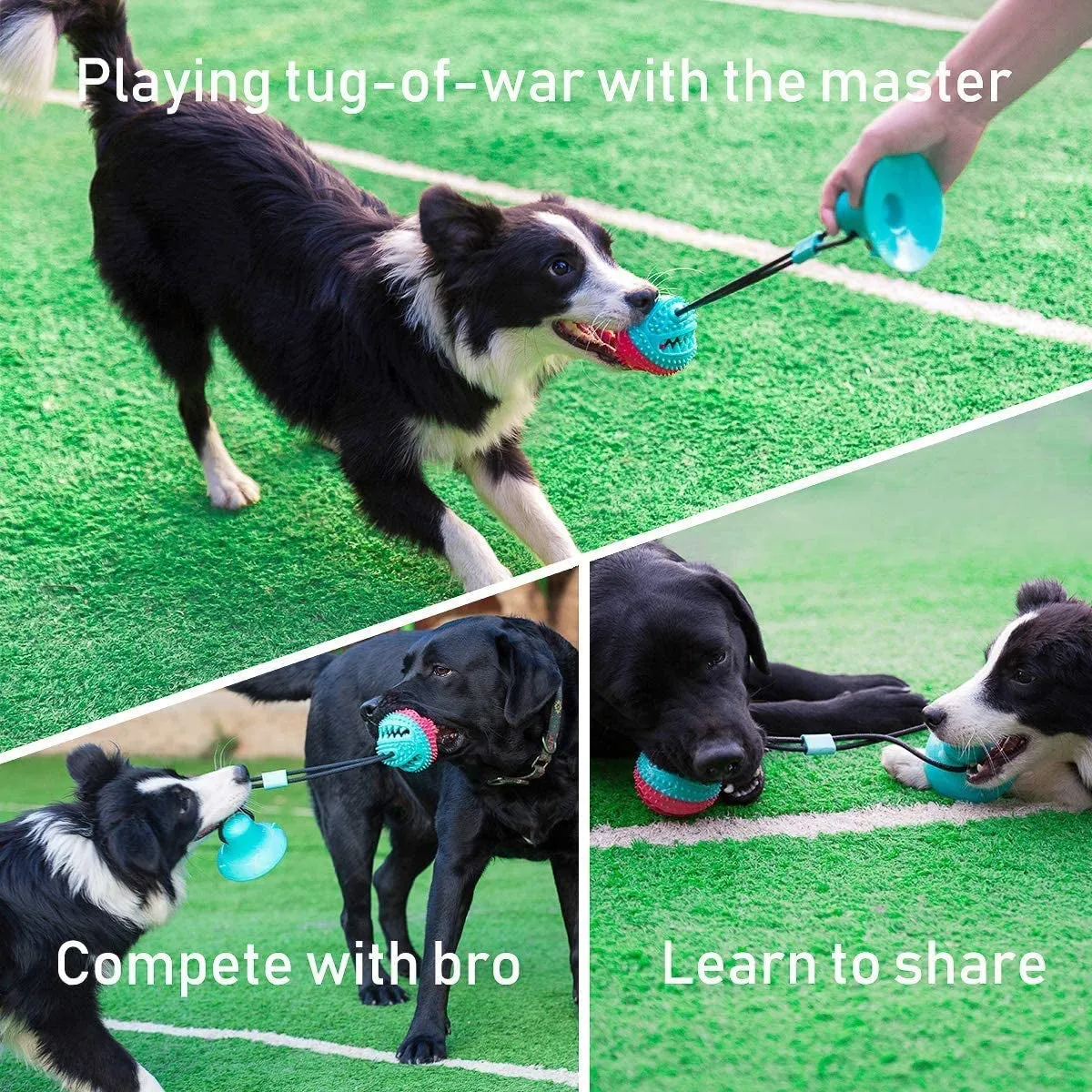 Interactive Dog Toys