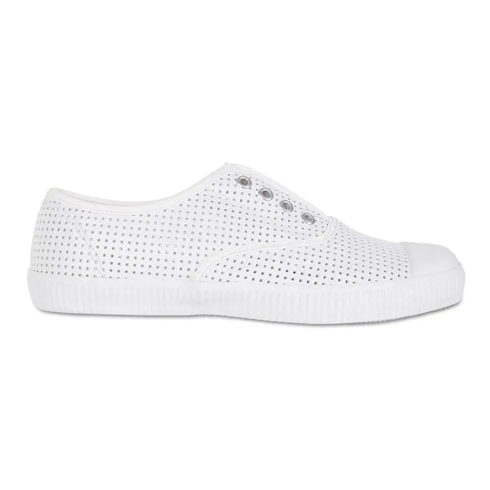 Lacey Sneaker in White Canvas