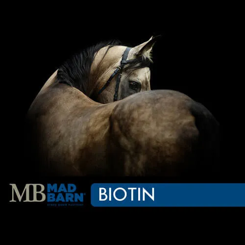 MadBarn 0.5% Biotin 1kg