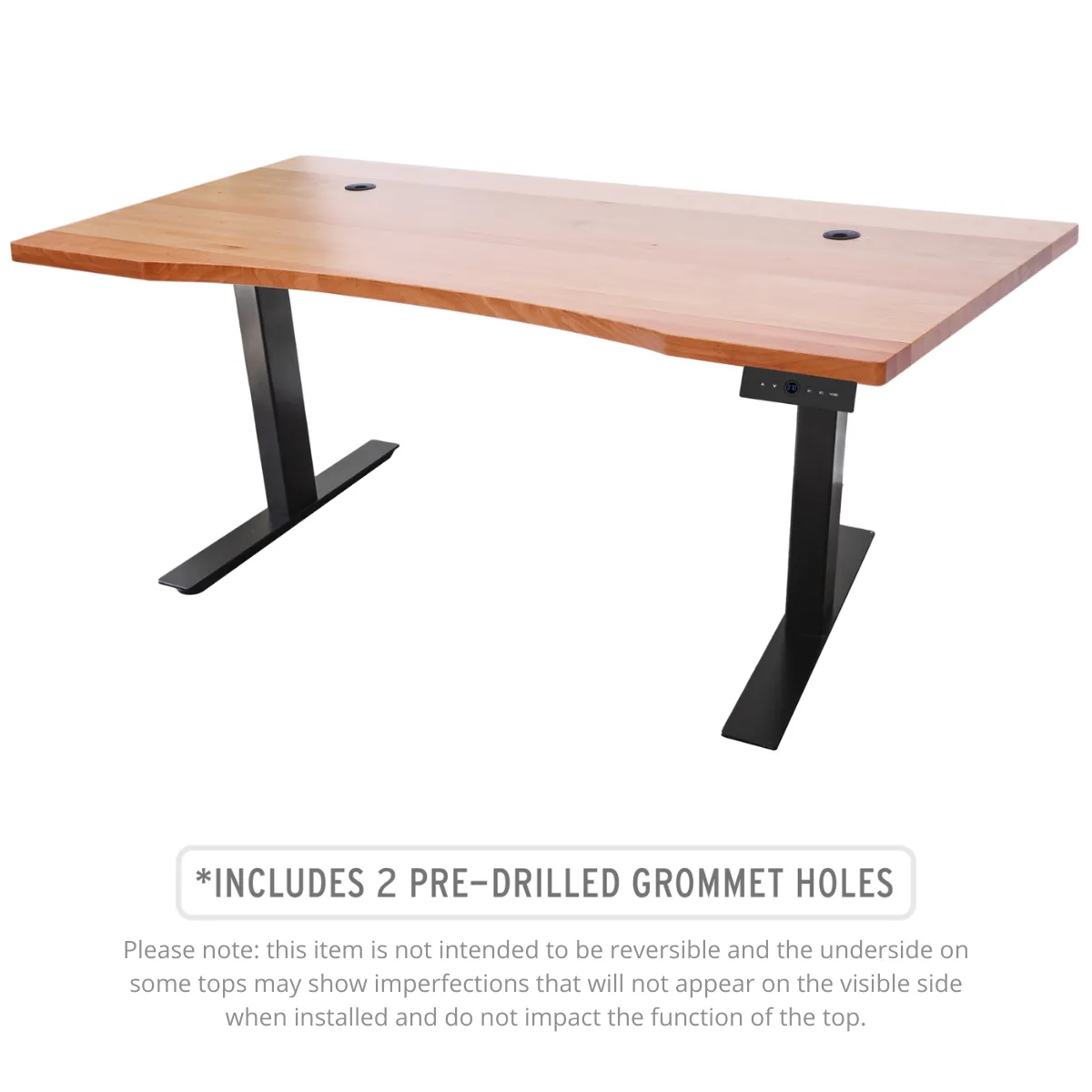 Programmable Dual Motor Electric Standing Desk