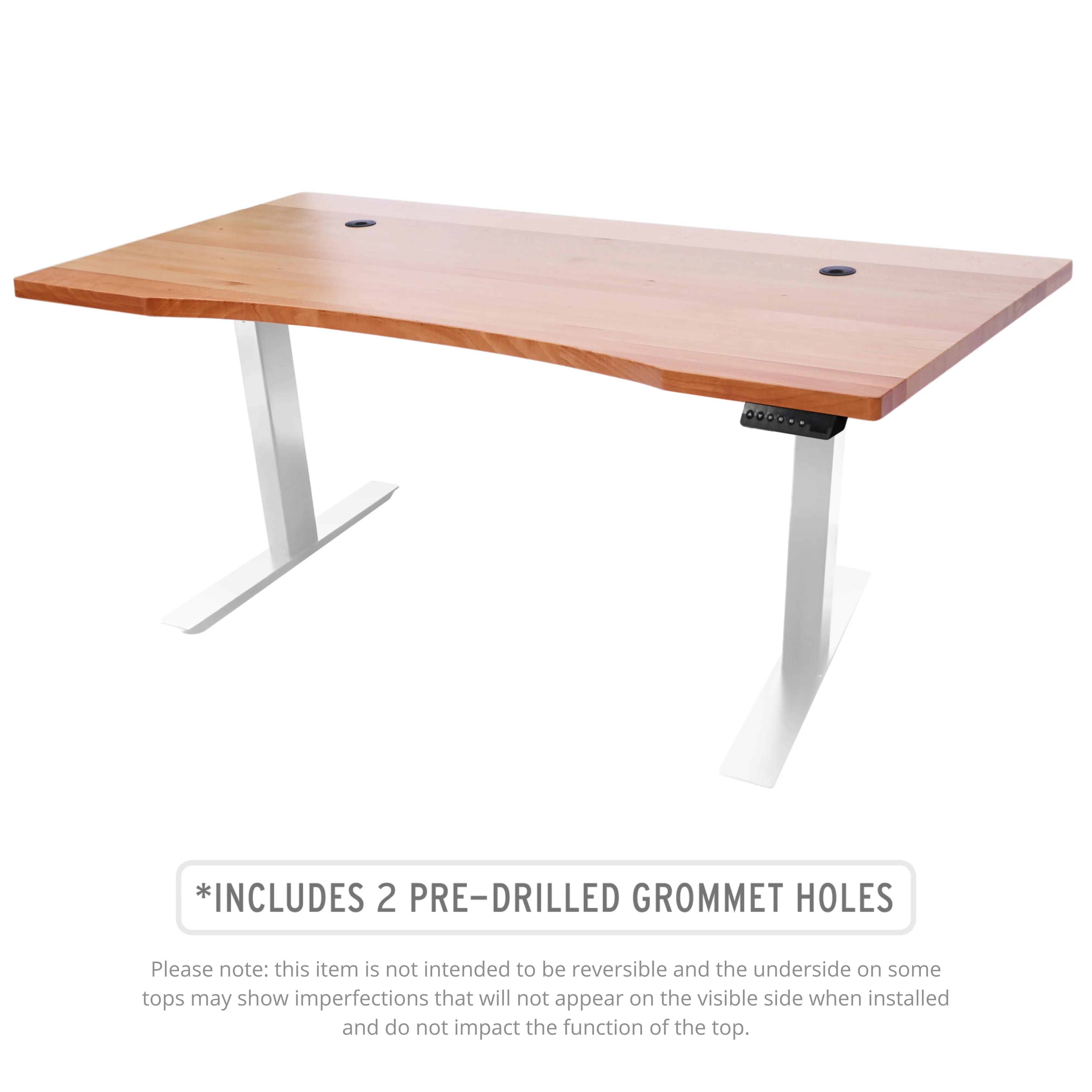 Programmable Single Motor Electric Standing Desk