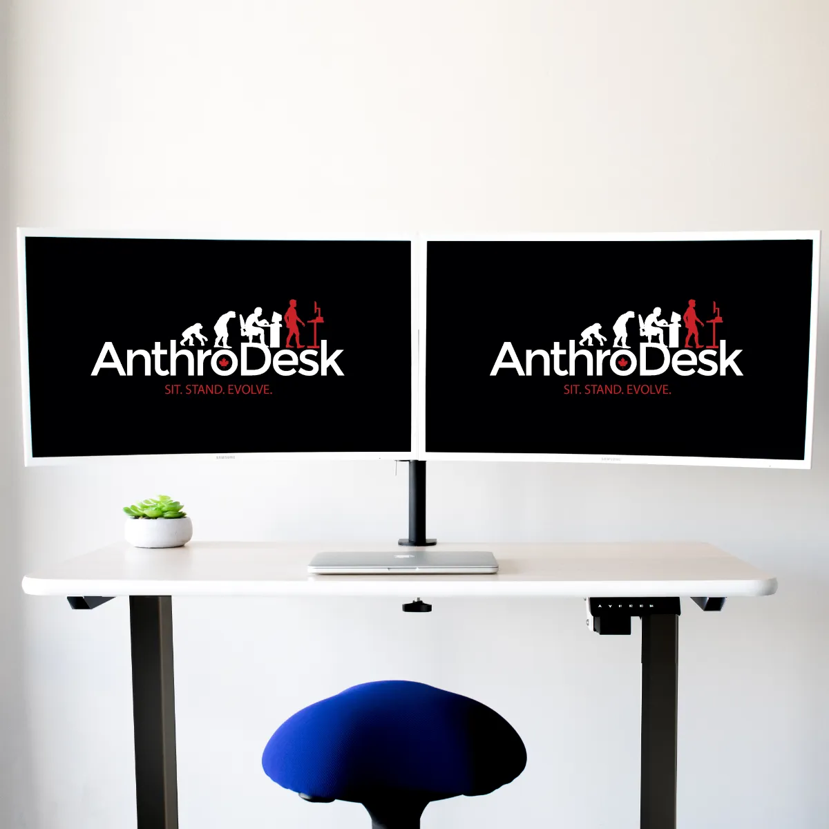 Programmable Single Motor Electric Standing Desk