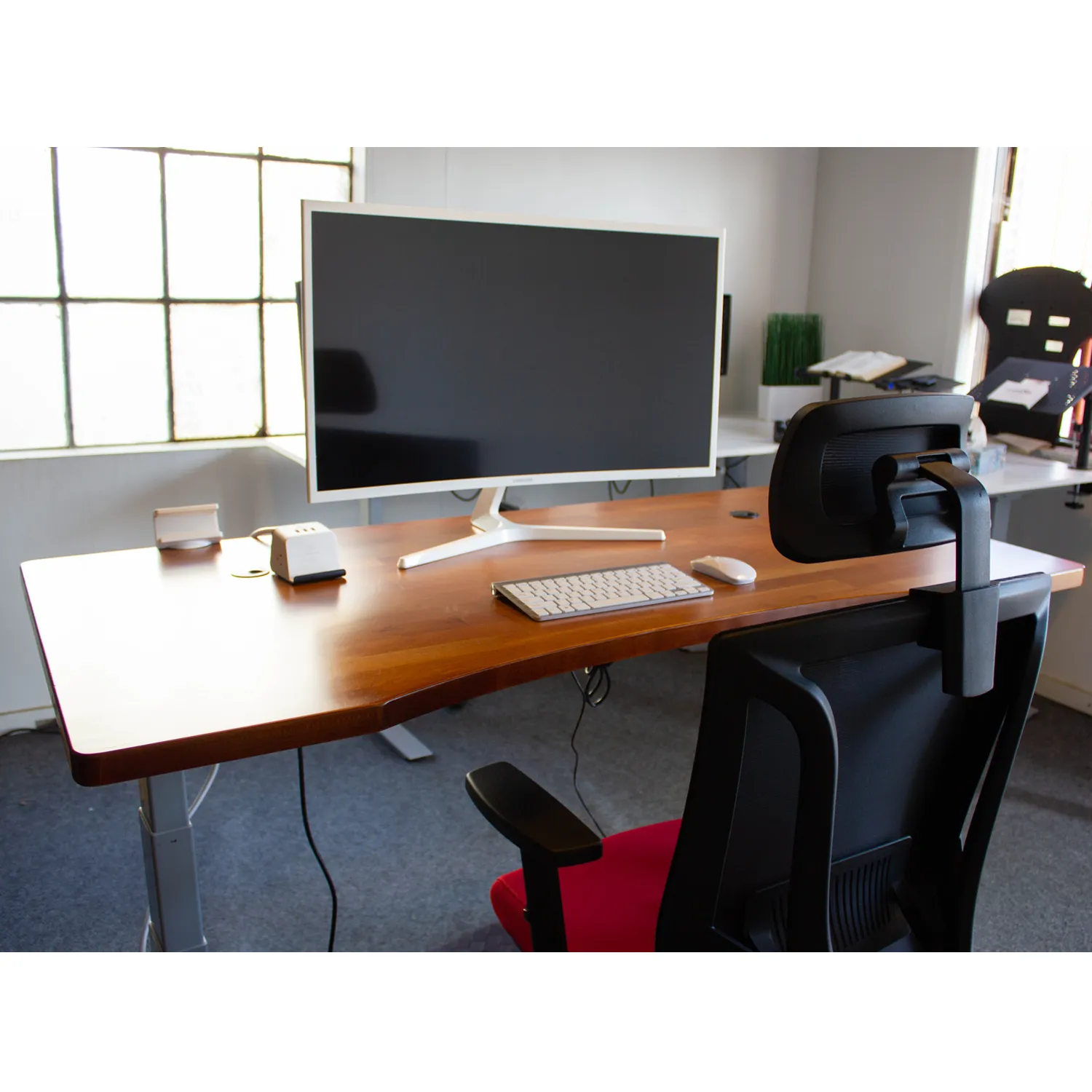 Programmable Single Motor Electric Standing Desk